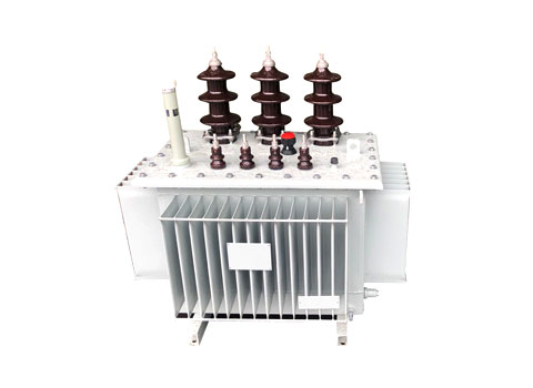 6.6KV Oil Immersed Power Distribution Transformer